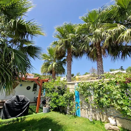 Conejo: Canarian Retreat With Private Wellness Amenities Holiday home Costa Adeje (Tenerife)