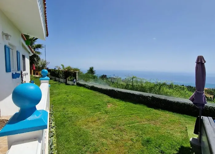 Conejo Taucho * Costa Adeje (Tenerife)