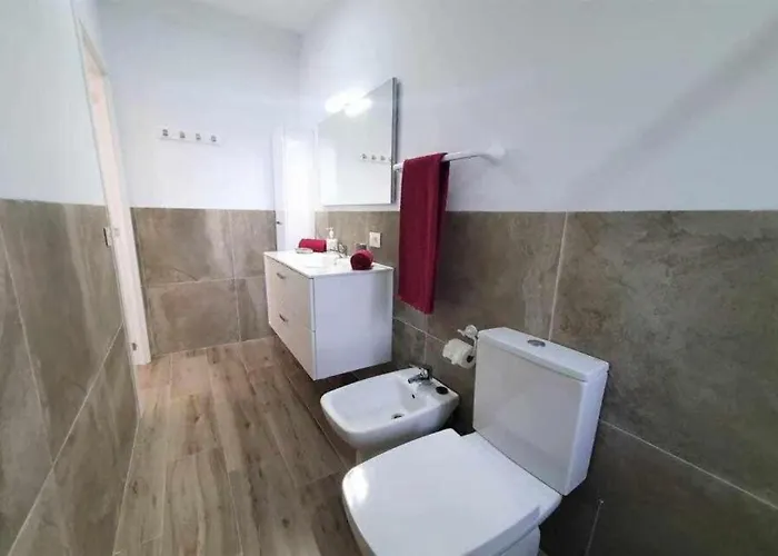 Conejo Taucho Costa Adeje (Tenerife)